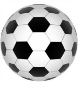 photo Festifoot