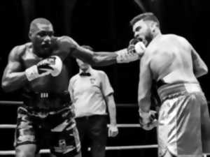 Grand gala de boxe professionnel