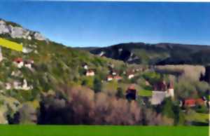 photo Plantes et Cie : pastoralisme et protohistoire, écomusée de Cuzals