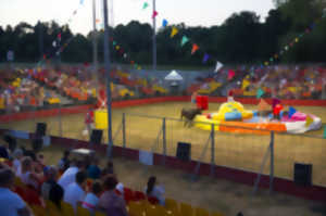Toro Piscine Labat