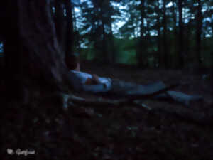 photo Nuit en forêt