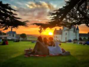 photo Soirée Pique-nique panoramique au château Royal d'Amboise-14 Juillet