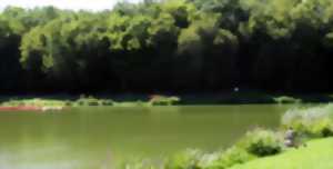 Concours de pêche
