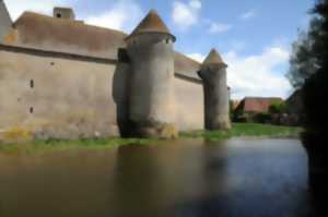 photo Journée européennes du patrimoine visites guidées du Château de Sagonne
