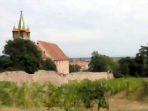 Pique-nique chez le vigneron