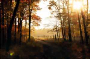 photo Marche d'automne