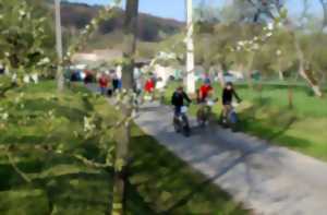 photo La Ronde des vergers - Marche et VTT