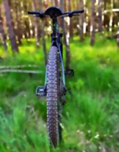 Fores't Track VTT