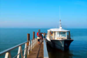 Tour de l'île aux oiseaux avec escale au Cap Ferret