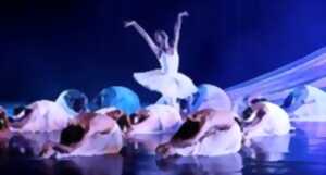 Gala de danse classique