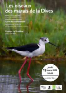 Les oiseaux des marais de la Dives, Marc Deflandre