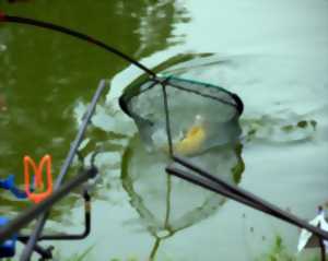Concours de pêche