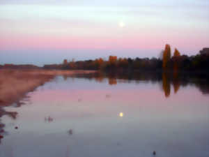 photo Visite Guidée : Les Bords de Loire