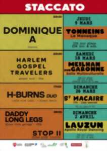 photo Concert Staccato - Daddy Long Legs et Stop II