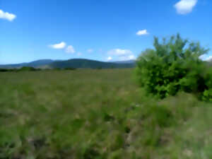Chantier nature
