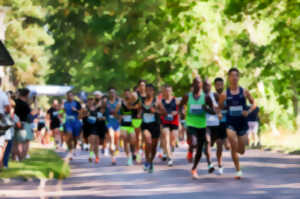 photo La course entre mer et forêt,10 km et semi-marathon