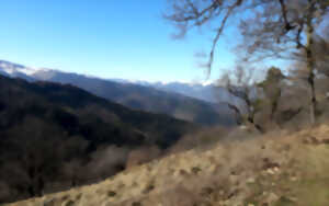 photo Club Vosgien : Le massif du Staufen