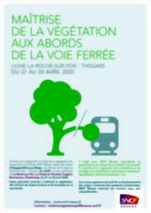 Travaux d’élagage et de débroussaillage aux abords de la voie ferrée