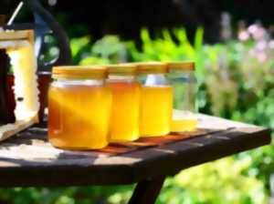 ATELIER 123 NATURE :  EXTRACTION DE MIEL