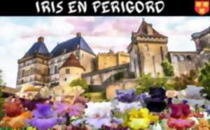 Journées portes ouvertes : Iris en Périgord