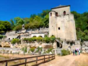 photo Visite Guidée de l'Ancienne Abbaye de Marmoutier