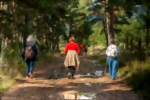 Sortie avec le Club Vosgien du Kochersberg : Hohatzenheim