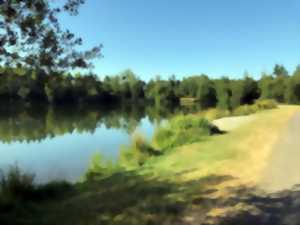 Lâcher de truites dans les étangs de la Bodrais et de La Louveterie