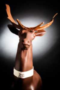 Atelier chocolat avec Olivier Viel, le Petit chocolatier