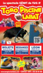 Spectacle Toro Piscine Labat