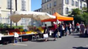 Marché Albert 1er