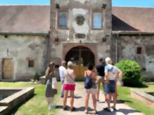 Visite guidée du château de Thanvillé