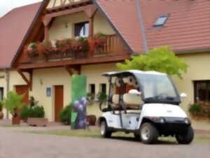 photo Promenade dans les vignes en véhicule électrique