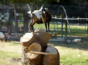 Ferme animalière de la Gallinière