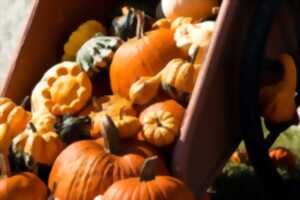 Marché aux saveurs d'automne et bourse aux livres