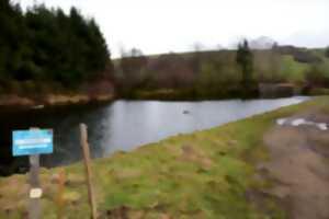 Lâchers de truites - Plan d'eau d'Arvieu