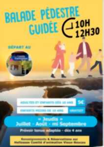 photo Balade pédestre guidée
