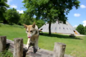 photo Animations Nature à la Pyramide du Loup cet été !