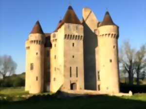 Les grandes médiévales du château