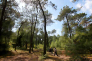 photo Visite guidée - La Forêt du Touquet au fil des saisons