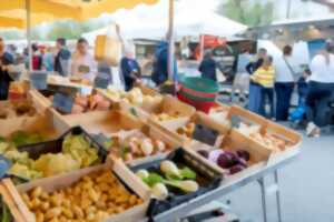 Marché traditionnel saisonnier