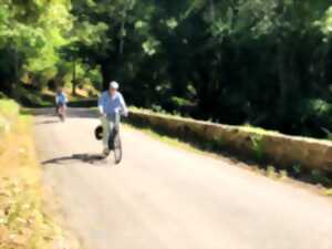 Escapade à vélo - Auxerre - Vézelay - Le Sud d'Auxerre au Fil de l'Eau