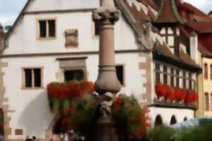 photo Visite guidée nocturne - Les maisons alsaciennes