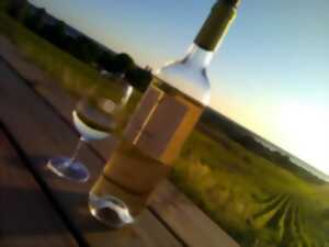 Wine  Sunset au Château Saincrit