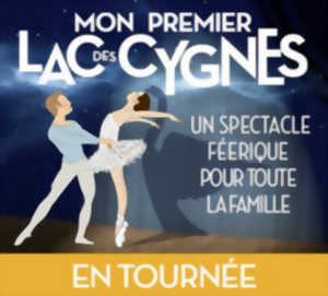MON PREMIER LAC DES CYGNES