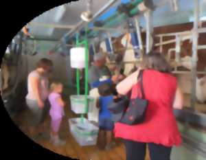VISITE FERME LAITIERE A LARGILLAY