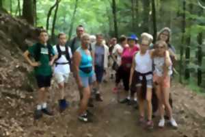 MARCHE À LA BRUNE NUIT