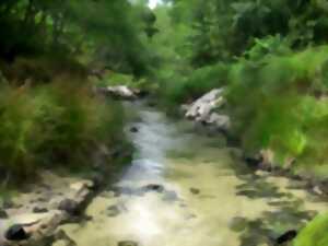 photo Au fil de l'eau