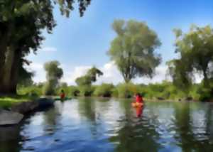 CANOË : A la découverte des méandres de l'Oise