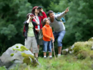 SORTIE NATURALISTE : SORTIE ORNITHOLOGIQUE