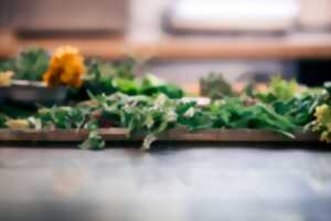 photo Cueillette d'herbes sauvages